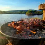 Braais in magaliesburg