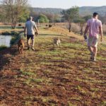 Hiking Activities In Magalisburg