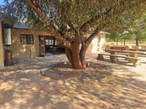 Wild Olive Chalet outside front view
