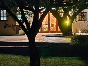 wild olive chalet