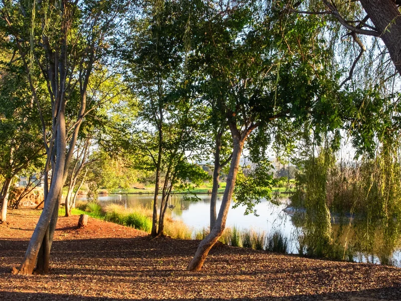 Imbabali Retreat & Venue is set at the foot of the Magaliesberg Mountains, just an hour from Johannesburg or Pretoria.