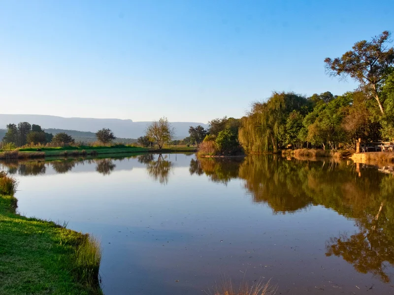 Imbabali Retreat & Venue is set at the foot of the Magaliesberg Mountains, just an hour from Johannesburg or Pretoria.